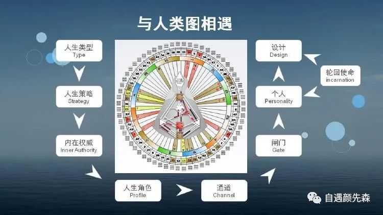 人类图体系的行业研究，与人类心理文化的进化有何关系？-自遇智库